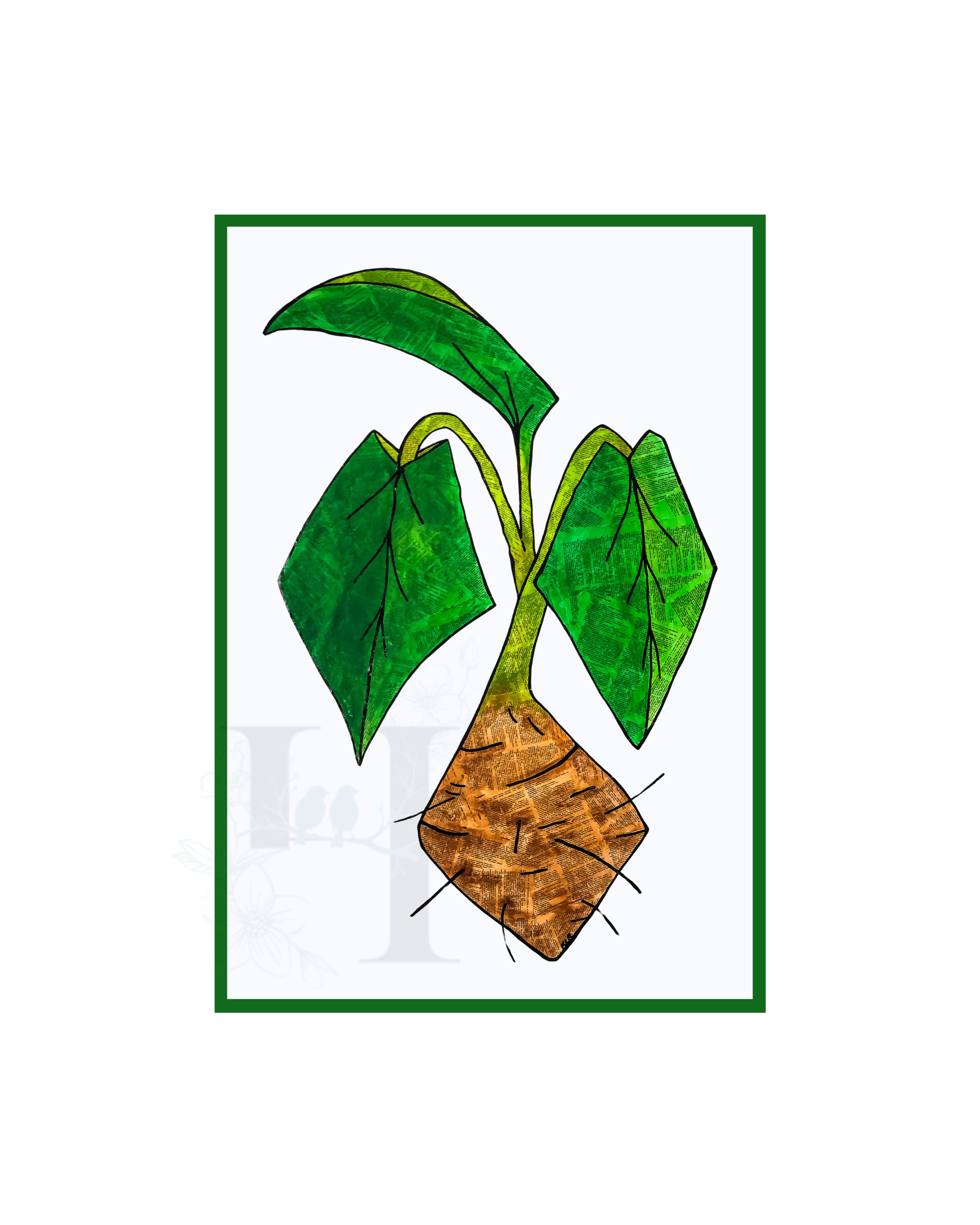 Illustration of a plant with green leaves and a brown root on white background.