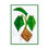 Thumbnail: Illustration of a plant with green leaves and a brown root on white background.