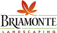Briamonte Landscaping - $500 Field Goal_