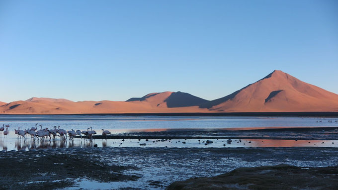 Plongé dans un rêve bolivien