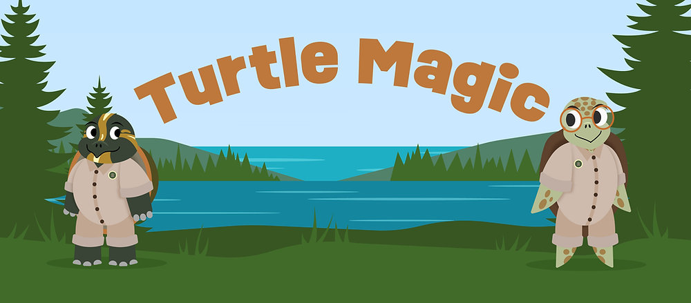 Turtle Magic for Summer Reading Programs 2022