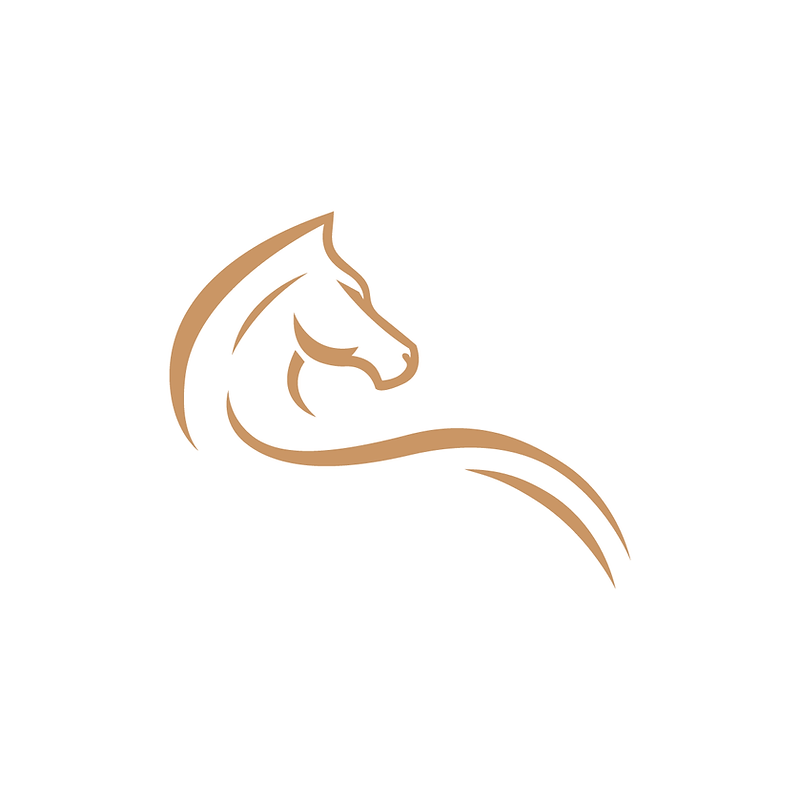 beautiful horse lines-01.png