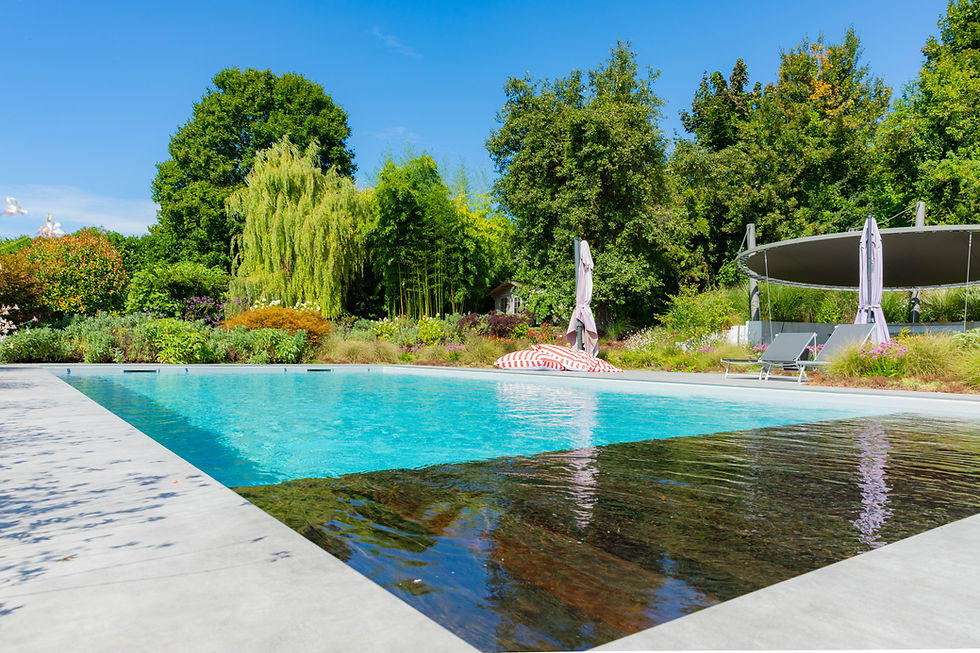 Une piscine à l'eau claire et nette dans un jardin végétalisé.