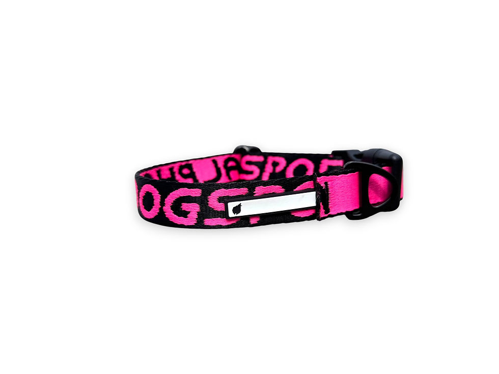 Miniature : Alphadogsport collier AMAROK BASIC+TAG