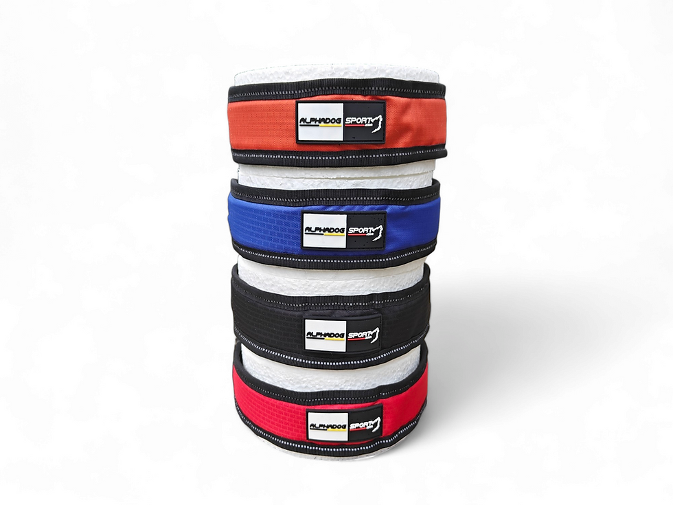 Thumbnail: Alphadogsport collier Racer pad