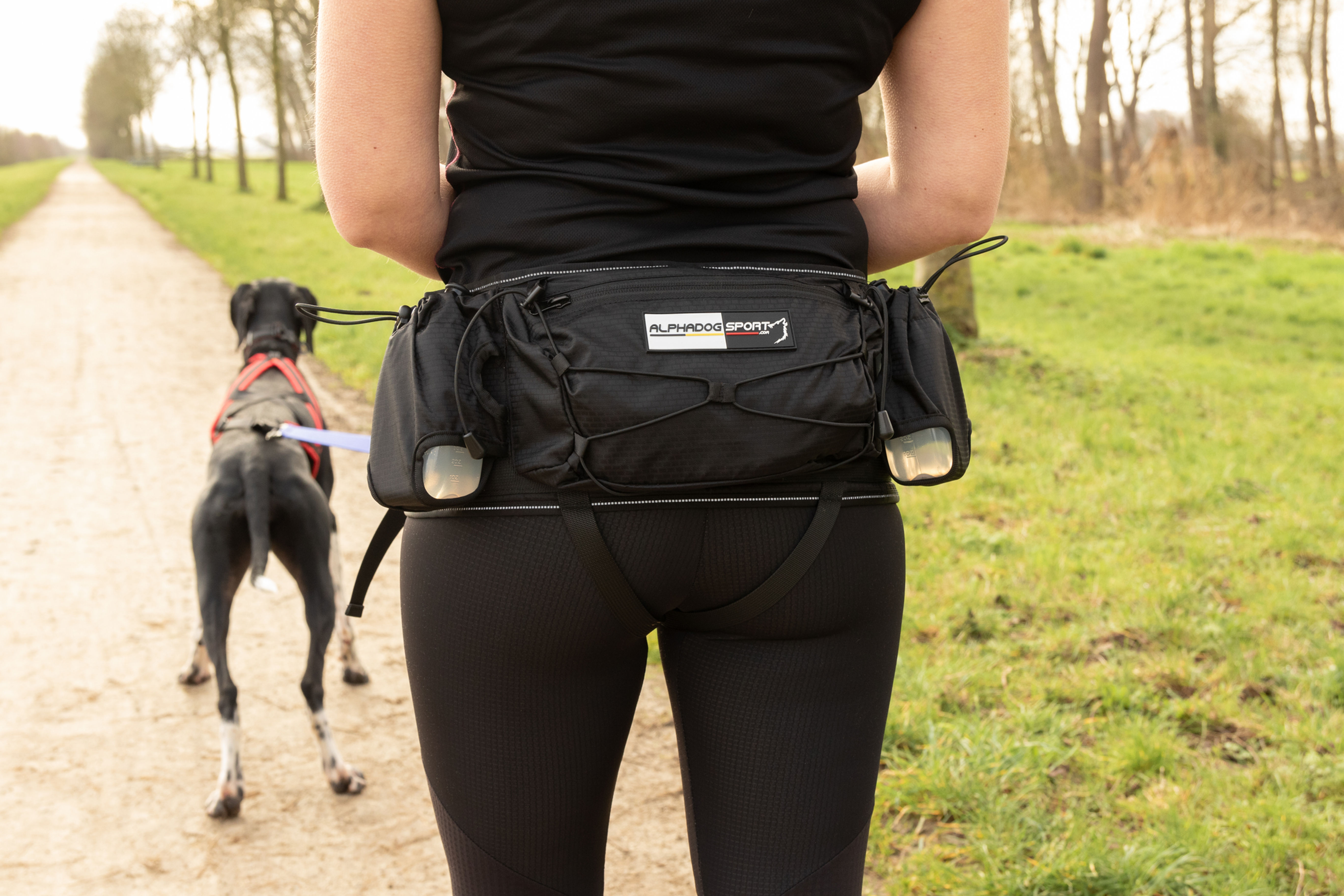 Alphadogsport baudrier Speed trail