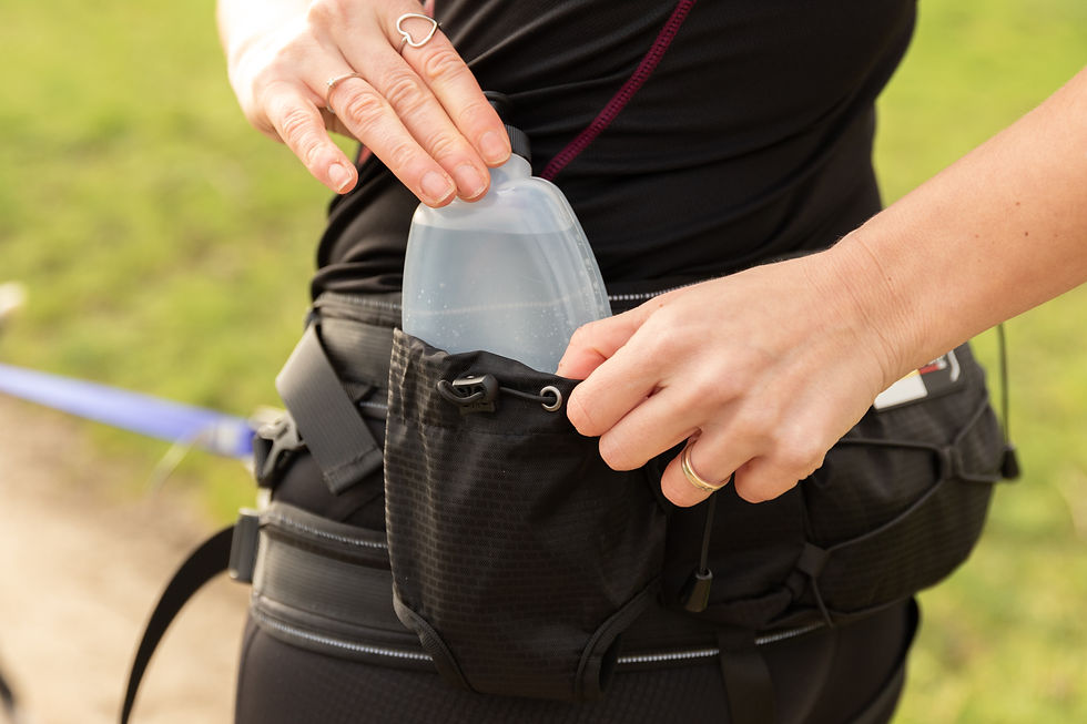 Miniature : Alphadogsport baudrier Speed trail