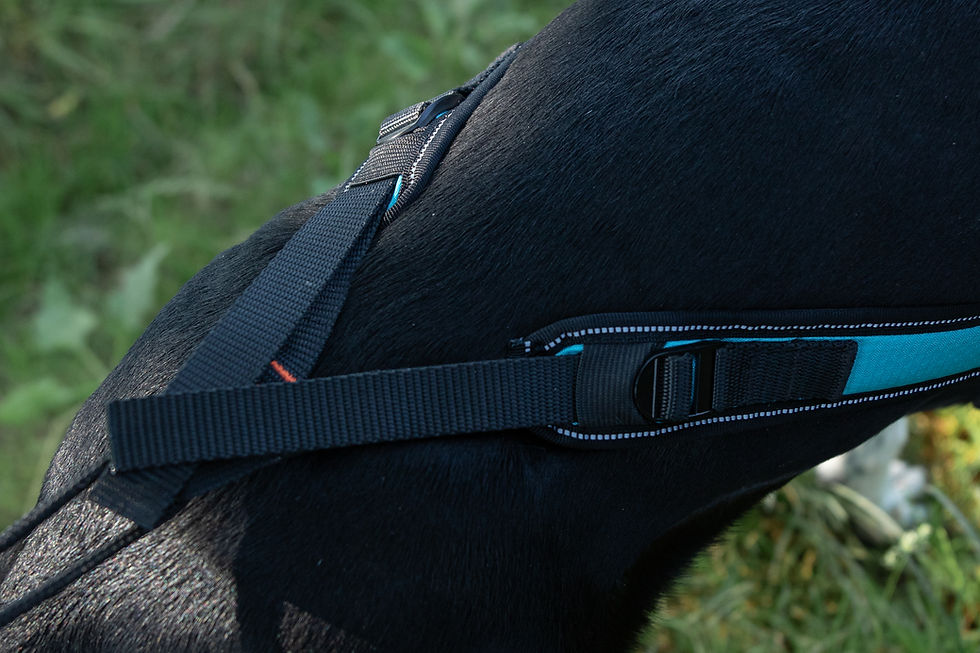 Miniature : Alphadogsport harnais Oméga V2 LIMITED EDITION