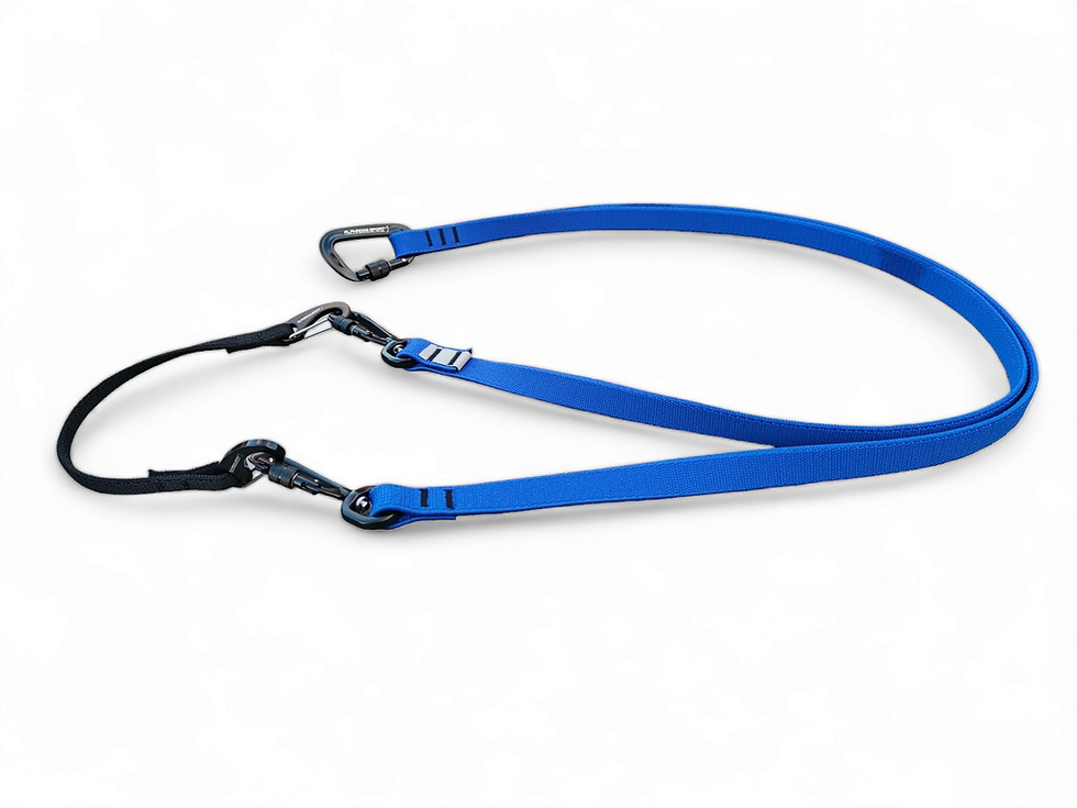 Miniature : Alphadogsport ligne de trait PRO+ D V2 canicross