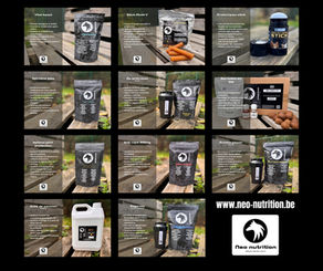 Neo-Nutrition : la gamme qui soutient le chien actif et sportif