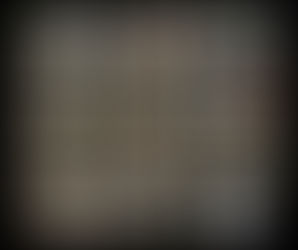 Neo-Nutrition : la gamme qui soutient le chien actif et sportif