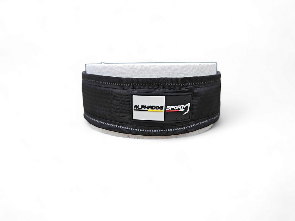 Thumbnail: Alphadogsport collier Racer pad