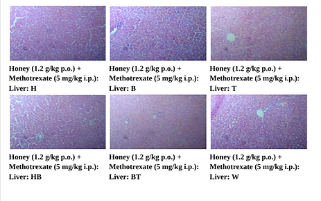 Research-Paper-1-for-VIVA-1-docx-Google-Docs-08-20-2025_11_52_AM (1).png