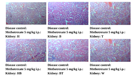 Research-Paper-1-for-VIVA-1-docx-Google-Docs-08-20-2025_12_00_PM.png