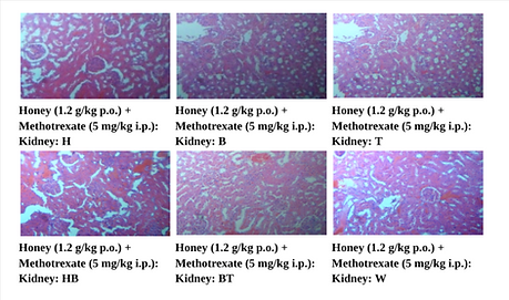 Research-Paper-1-for-VIVA-1-docx-Google-Docs-08-20-2025_12_01_PM.png