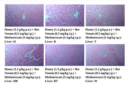 Research-Paper-1-for-VIVA-1-docx-Google-Docs-08-20-2025_11_58_AM.png