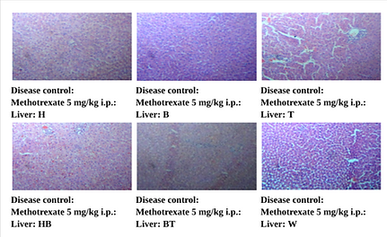 Research-Paper-1-for-VIVA-1-docx-Google-Docs-08-20-2025_11_52_AM.png