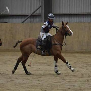 42333837_2251729178379842_65463996022186