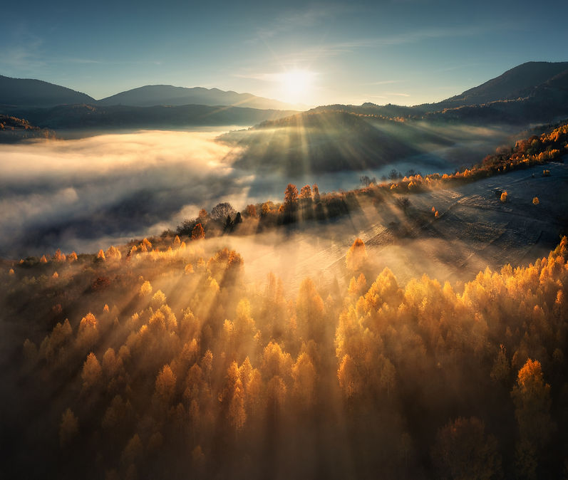 sunrise over blue mountains golden forest