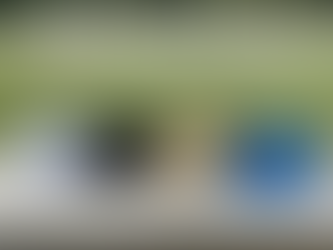 Visors in various materials designed for easy customization