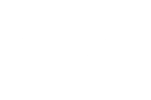 Gemeente Hillegom W.png
