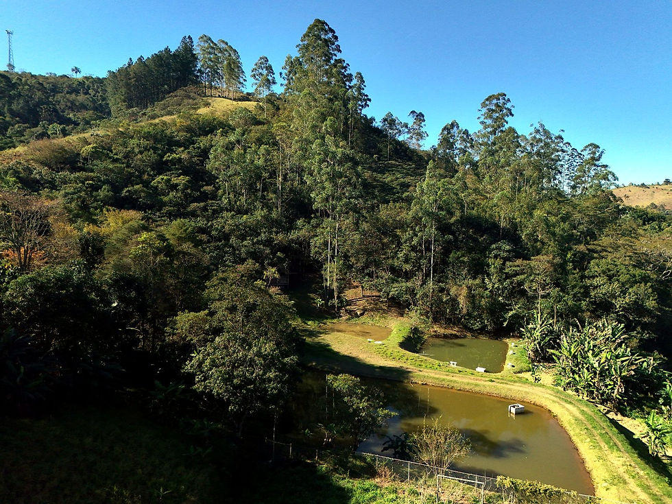 IMG-20261009-WA0009