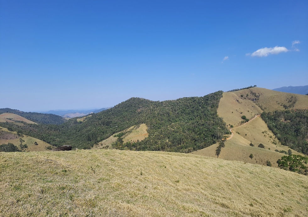 IMG-20260928-WA0029