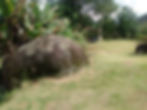 IMG-20250723-WA0098