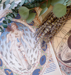 福岡県久留米市にあるプチジェルメの西洋占星術講座の画像