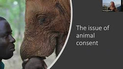The Ethics of Privacy in Anthrozoological Investigations