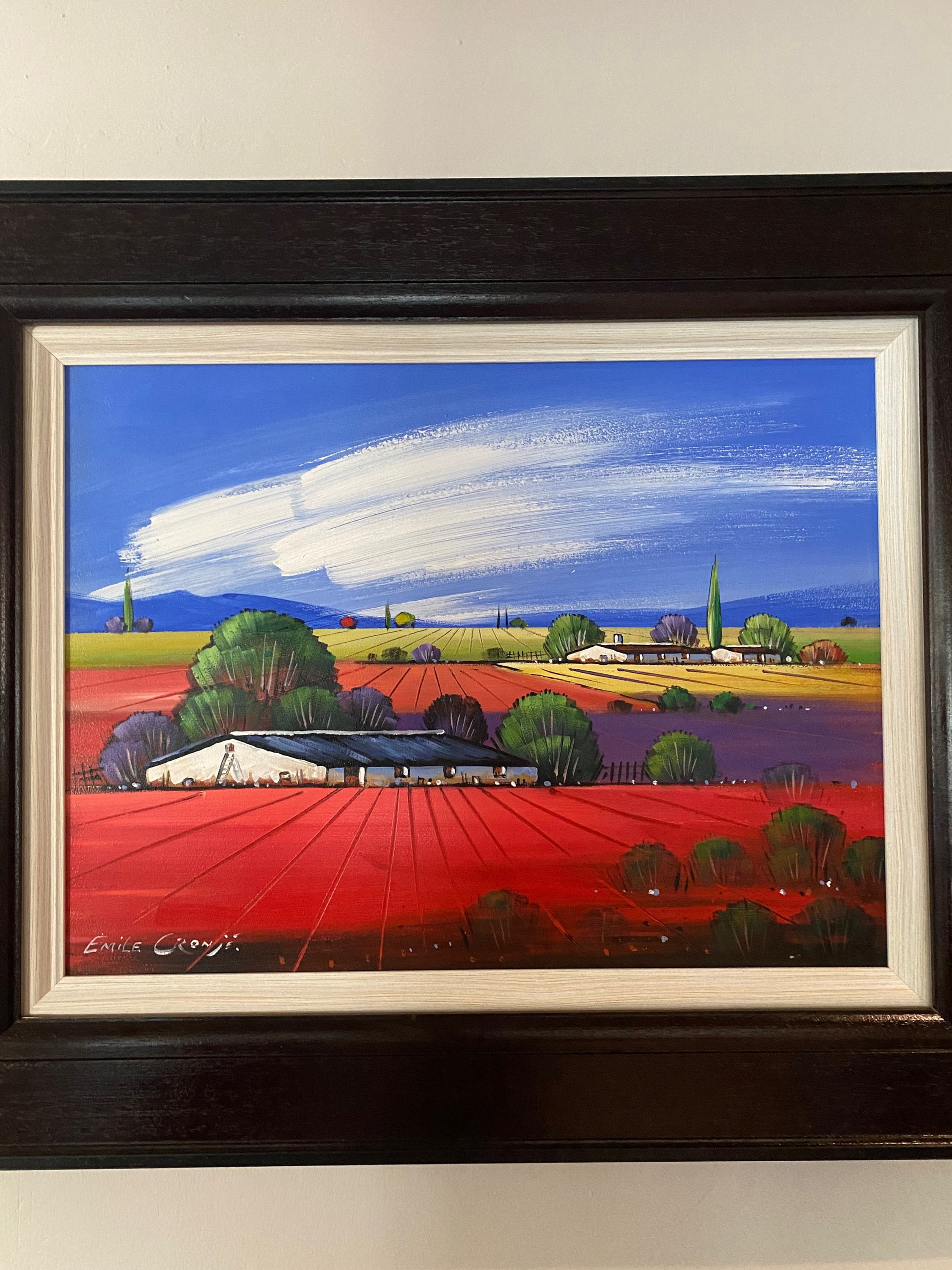 Emile Cronje Artwork