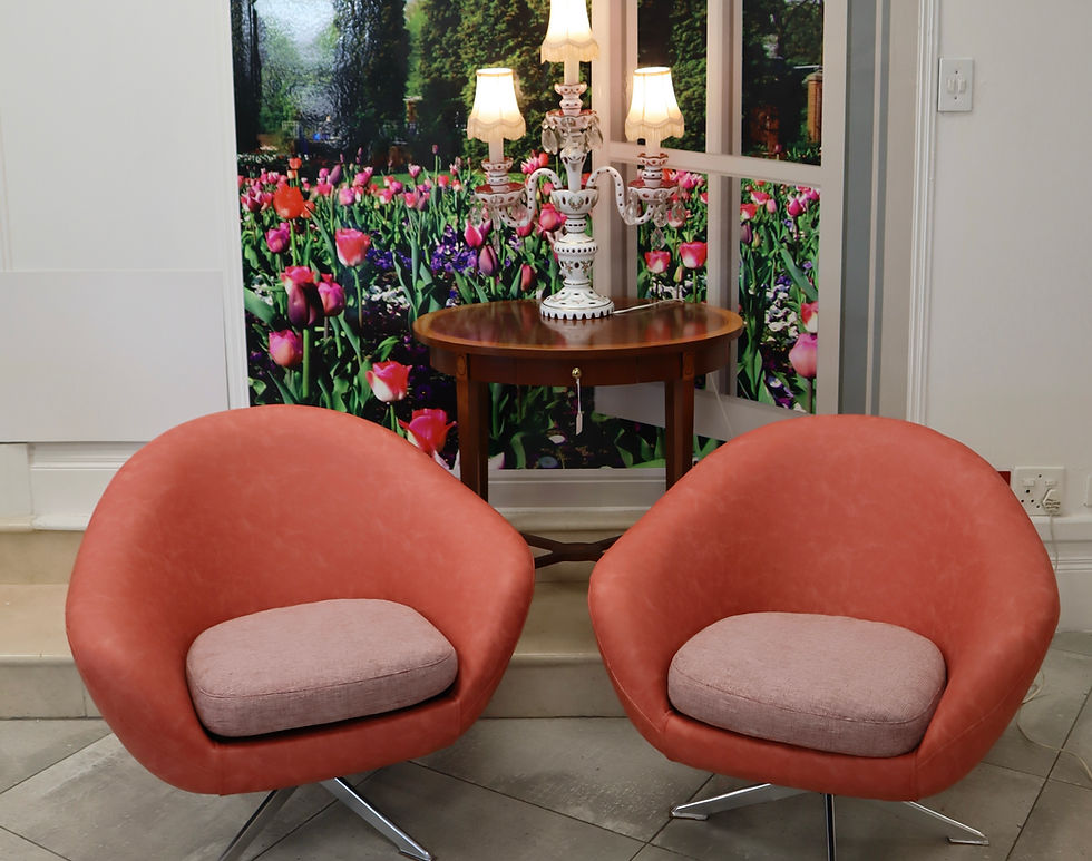 1970s Zodiac Chairs