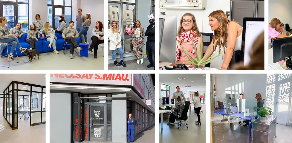 Collage aus acht Fotos, die verschiedene Einblicke in die Agentur neo.says.miau. zeigen: Ein Team in grauen „Habibi“-Sweatern mit Hund im Büro, zwei Mitarbeiterinnen und einer mit Katzenmaske vor dem Fenster, Arbeitsmomente am Bildschirm, eine Mitarbeiterin am Telefon, der Glaskasten als Meetingraum, die Agentur-Fassade mit Logo, QR-Code und Geschäftsführerin, sowie Alltagsszenen mit Teamkommunikation und Schreibtischsituationen.