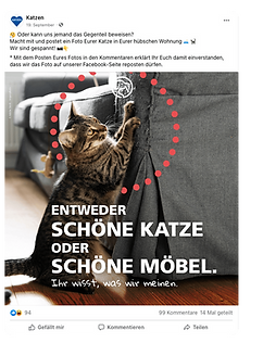 Ein Facebook Beitrag von „Katzen“ (Tochterkanal von Agila) mit einem Bild, das eine kratzende Katze an einer Couch zeigt. Rote Markierungslinien umranden die Kratzspuren, darunter steht in großer weißer Schrift: „Entweder schöne Katze oder schöne Möbel. Ihr wisst, was wir meinen.“ – begleitet von einem Aufruf, Bilder der eigenen Katzen in schönen Wohnungen zu posten.