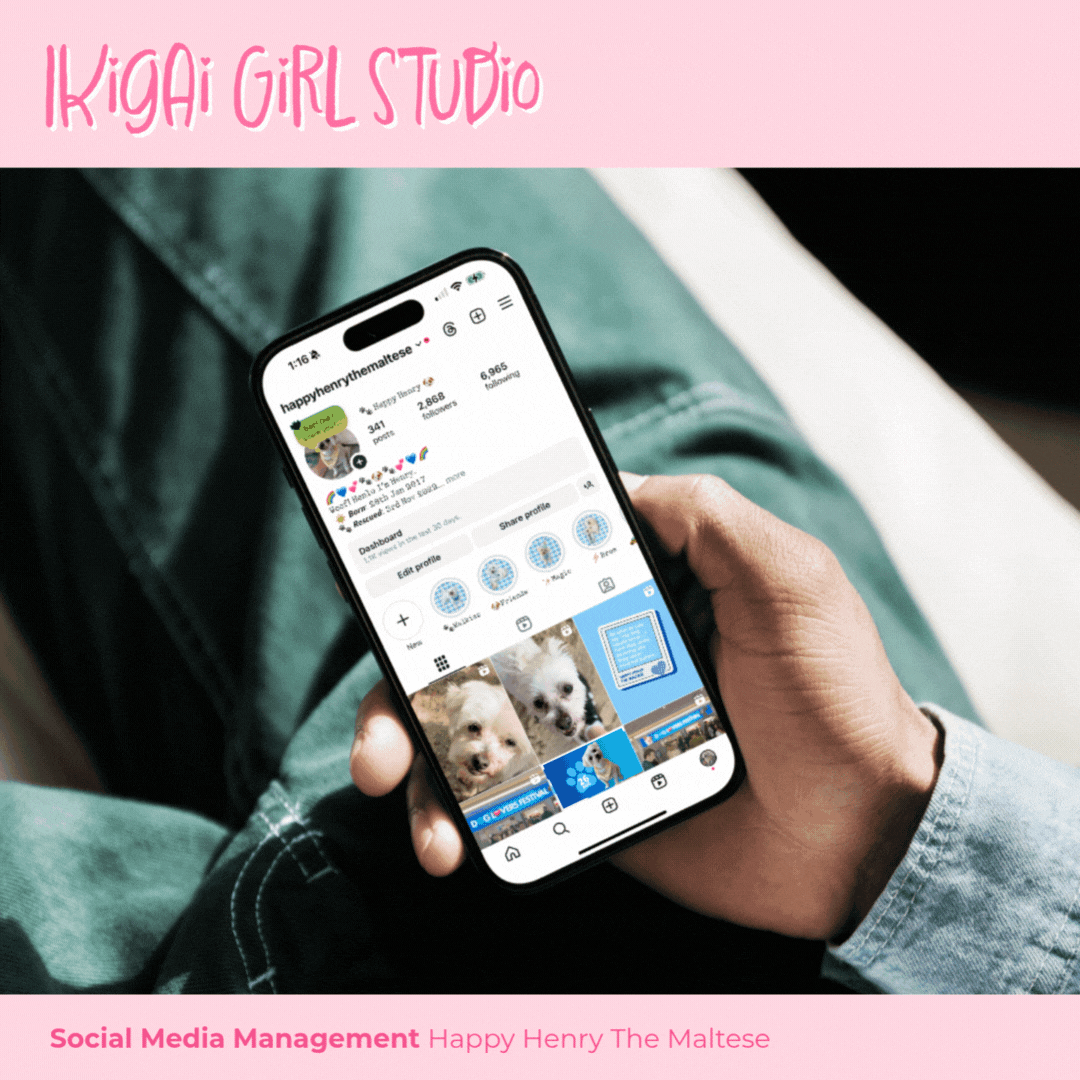 PORTFOLIO_NoBranding_2025 (15).gif