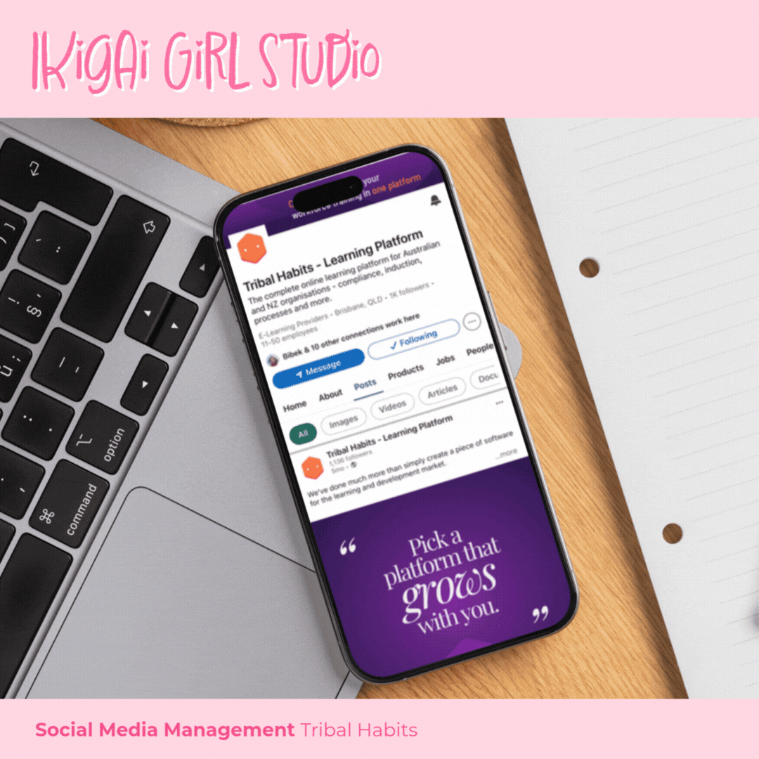 PORTFOLIO_NoBranding_2025 (10).gif