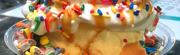 Hard Gourmet Ice Cream