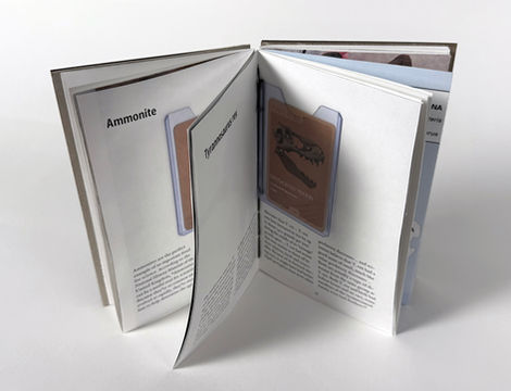 Fossil Interactive Book (2025)