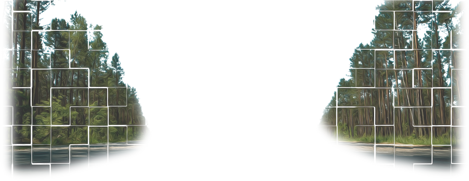 Лес семинары 1.png