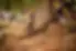 Close-up view of an emergency medical responder checking a patient on the ground