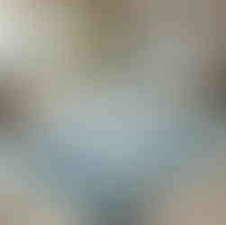 A nautical-themed PET carpet with anchor and wave patterns in shades of blue and white, placed in a beach house living room with coastal décor.