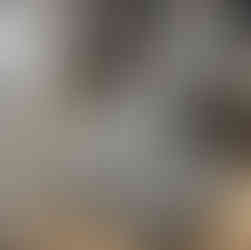 A chic PET carpet with a chevron design in monochromatic shades, placed in a stylish bedroom with modern furniture and décor.