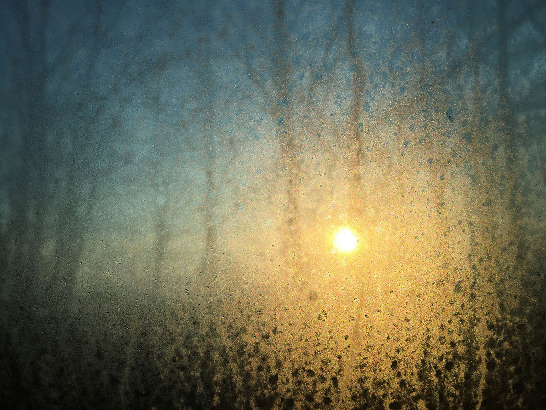 Anne Day |boutiqueart prints|Morning Light