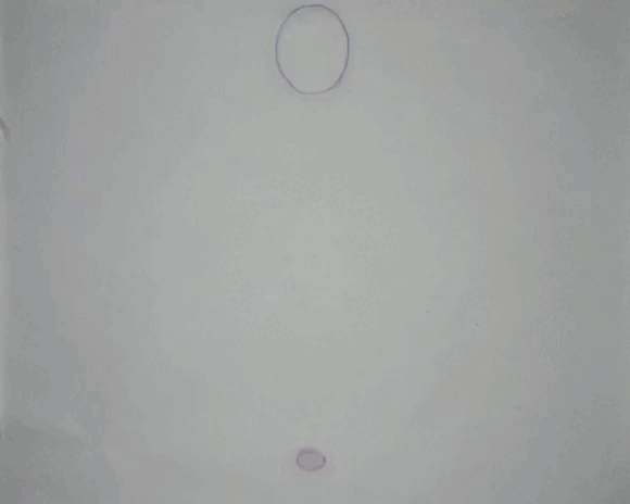 Bouncing Ball compressed.gif