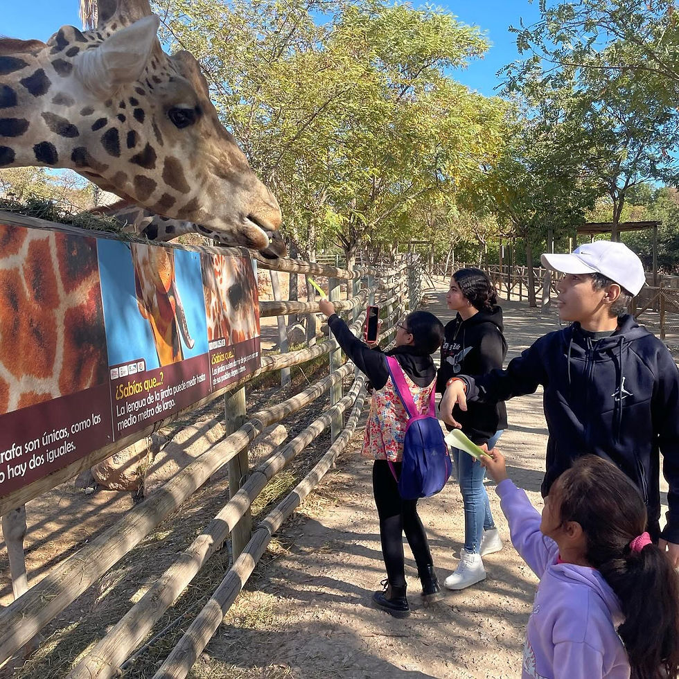 Murcia zoo 3.jpg