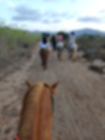 Horse riding.jpg
