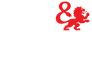 city and guilds courses