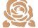 golden rose