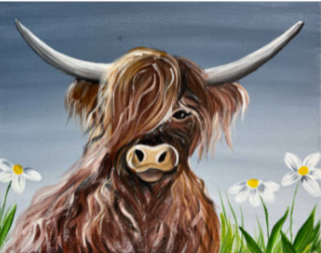Daisy Highland Cow