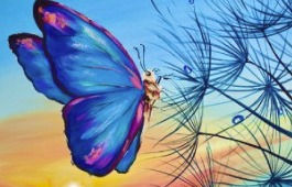 Beautiful Butterfly and Sunrise